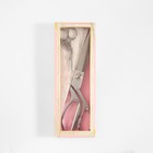 Набор ножниц подарочный: закройные ножницы 9", 23,5 см, ножницы вышивальные «Цапельки» 3,7", 9,5 см, цвет серебряный - фото 7793375