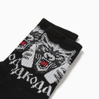 Носки мужские KAFTAN "Водкодав" р. 41-44 (27-29 см) - фото 23601008