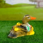 Садовая фигура из гипса «Утка с утятами», 15×32×12 см - Фото 3