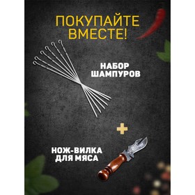 Шампур «Серебрянный шар», с ручкой горячей ковки, рабочая длина - 50 см