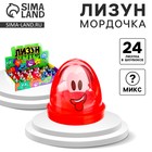 Лизун - слайм «Мордочка», МИКС - Фото 1
