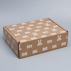 Коробка подарочная сборная, упаковка, «Зверята», бурый, 27 х 21 х 9 см - фото 9991175
