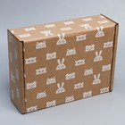 Коробка подарочная сборная, упаковка, «Зверята», бурый, 27 х 21 х 9 см - фото 60001485