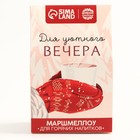 Маршмеллоу для напитков «Для уютного вечера», со вкусом пломбира, 40 г. 7787590 - фото 13112349