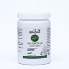 Концентрат №10 Расторопша + Бетулин с дигидрокверцетином, 60 капсул по 700 мг - фото 21780571