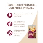 Влажный корм «Мнямс» «ЗДОРОВЫЕ СУСТАВЫ» для собак говядина/печень в соусе, 400 г - Фото 7