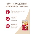 Влажный корм «Мнямс» «ПРАВИЛЬНОЕ РАЗВИТИЕ» для щенков, телятина в соусе, 400 г - Фото 7
