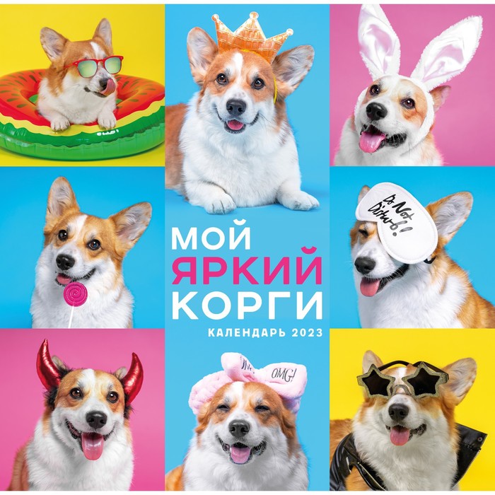 Календарь настенный «Мой яркий корги» на 2023 год, 30х30 см - Фото 1