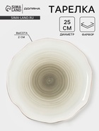 Тарелка обеденная Доляна «Млечный путь», d=25 см, фарфор, серая - Фото 1