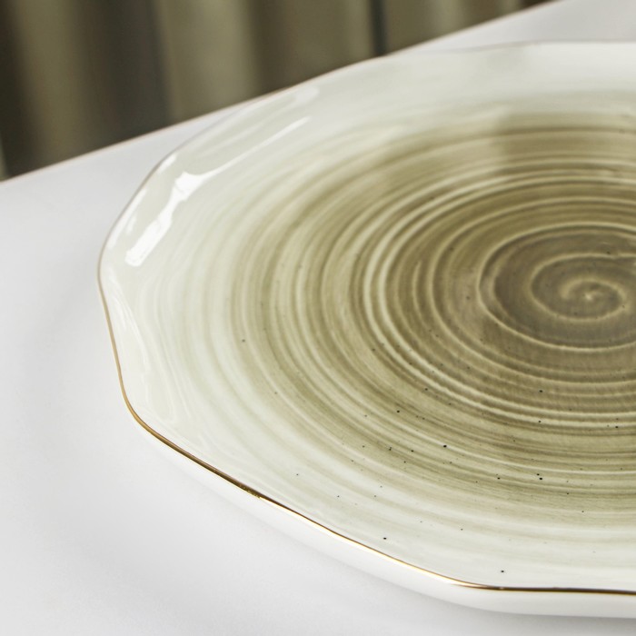 Тарелка фарфоровая обеденная Доляна «Млечный путь», d=25 см, цвет серый - фото 1908995248