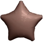 Шар фольгированный 30" «Звезда», мистик какао, индивидуальная упаковка - фото 9992675