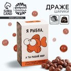 Шоколадные шарики драже «Я рыбка» в коробке, 37 г. - фото 9992914