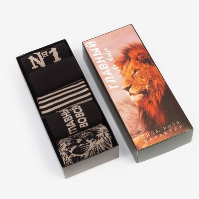 Носки мужские KAFTAN «Главный», набор 5 пар, размер 41-44 (27-29 см)