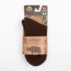 Носки с пухом яка женские, цвет шоколадный, размер 35-37 - фото 23194810
