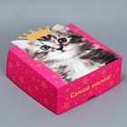 Коробка подарочная складная, упаковка, «Котик», 25 х 25 х 10 см - фото 319065864