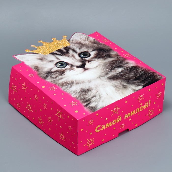 Коробка подарочная складная, упаковка, «Котик», 25 х 25 х 10 см - фото 1907534091