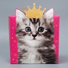 Коробка подарочная складная, упаковка, «Котик», 25 х 25 х 10 см - фото 54737744