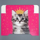 Коробка подарочная складная, упаковка, «Котик», 25 х 25 х 10 см - фото 54737747
