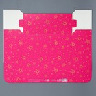 Коробка подарочная складная, упаковка, «Котик», 25 х 25 х 10 см - фото 54737748