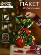 Пакет подарочный новогодний, для сладких подарков «Шар» 25×40 см Новый год - Фото 1