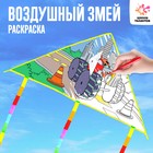 Воздушный змей-раскраска, 80 см 9022079 - фото 9994397