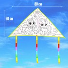 Воздушный змей-раскраска, 80 см 9022080