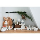 Блюдо «Зайка в золотом», d=20.5 см, доломит, белое - Фото 8