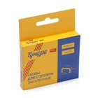 Скобы для мебельного степлера ТУНДРА ВДОМ, закалённые, тип 53, 10 мм, 1000 шт. - Фото 5