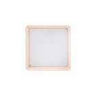 Ручка-кнопка CAPPIO, 36X36, пластик, цвет золото - фото 805037180