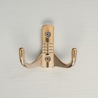 Крючок мебельный CAPPIO BOBOLINK, двухрожковый, золото - Фото 4