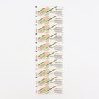 Лейкопластырь медицинский бактерицидный на нетканой основе с зеленкой 1,9*7,2 см 10 шт. - Фото 1