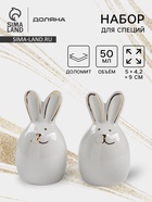 Набор для специй Доляна «Зайка в золотом», солонка, перечница 50 мл, доломит, белый - Фото 1