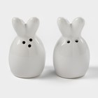 Набор для специй Доляна «Зайка в золотом», солонка, перечница 50 мл, доломит, белый - Фото 2