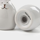 Набор для специй Доляна «Зайка в золотом», солонка, перечница 50 мл, доломит, белый - Фото 3