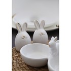 Набор для специй Доляна «Зайка в золотом», солонка, перечница 50 мл, доломит, белый - Фото 7