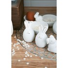 Набор для специй Доляна «Зайка в золотом», солонка, перечница 50 мл, доломит, белый - Фото 6