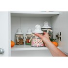 Банка для сыпучих Доляна «Ёжик в золотом», 600 мл, с керамической крышкой, стекло, прозрачная - Фото 8