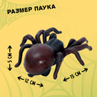 Животное «Паук», на дистанционном управлении, работает от батареек, цвета МИКС - Фото 2