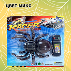 Животное «Паук», на дистанционном управлении, работает от батареек, цвета МИКС - Фото 5