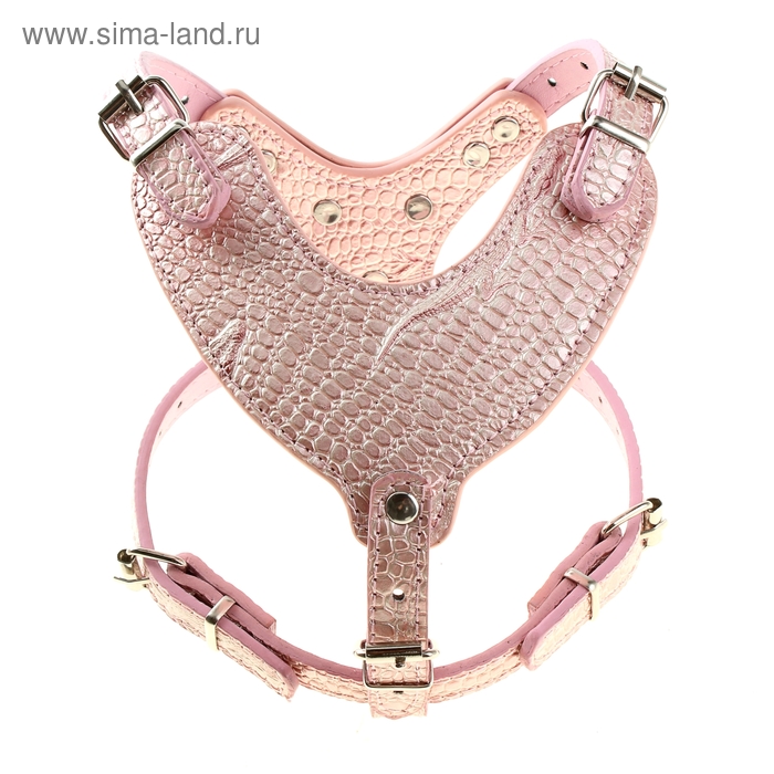 Шлейка из экокожи "Анаконда",оранжевый , размер 2 - Фото 1