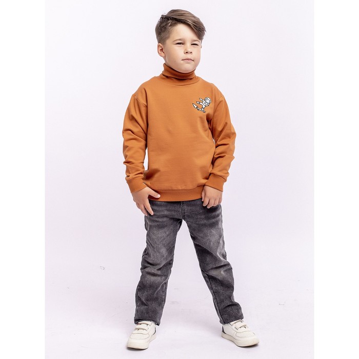 Свитшот для мальчика, рост 116 см, цвет терракотовый