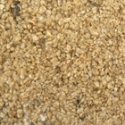 Корм для рыб Дафния, пакет, 100 г - Фото 2