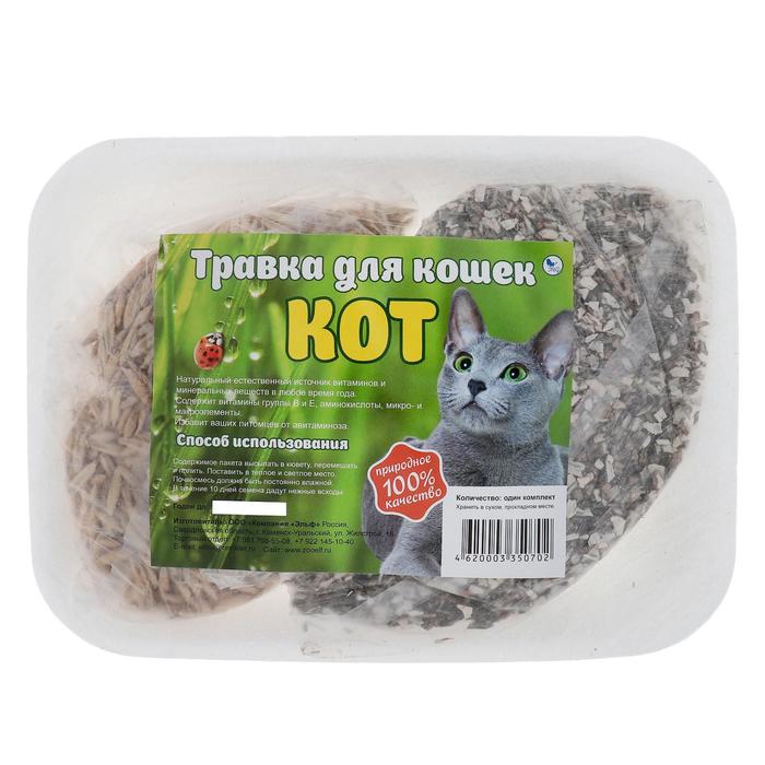 Травка "Кот" для кошек, на подложке - Фото 1