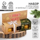 Подарочный набор новогодний «Радостных дней», 2 крем-меда и варенье с шишками по 30 г - Фото 1