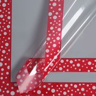 Пленка для цветов и букетов «Кант с горошком», 0.57×5 м ±5% см - Фото 1