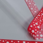 Пленка для цветов и букетов «Кант с горошком», 0.57×5 м ±5% см - Фото 2