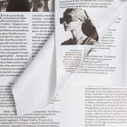 Пленка флористическая «Икона стиля» 65 мкм, 50×58 см - Фото 1