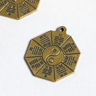 Сувенир металл подвеска "Монета Фен-шуй" 3,2х3,5 см - фото 321363227