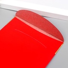 Конверт для денег подарочный Хунбао «Иероглифы: Счастье», набор 6 шт., бумага, красный с золотом, 9?17 см (комплект 2 шт) - фото 64549816