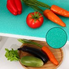 Коврик в холодильник Доляна, 30×50 см, поролон, цвет зелёный - фото 319897347